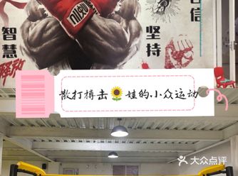 娃的小众运动→散打搏击