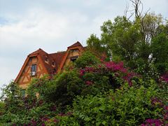 -成都南湖公园