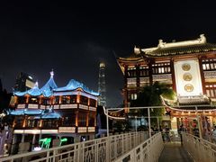 -老桐椿 · 上海大馄饨