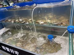 水产区-圣罗巴海鲜自助(黑金店)