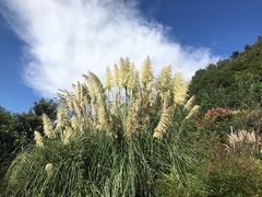 -贵阳市花溪国家城市湿地公园