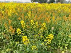 -中国天府农业博览园