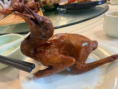 -五谷芳乳鸽王(梅沙老店)