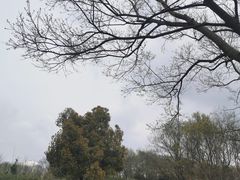 -南京市江宁方山