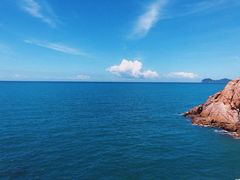 -广东惠东海龟国家级自然保护区