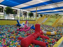 -南宫五洲植物乐园