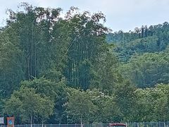 -红山村