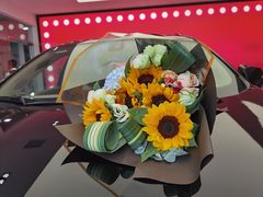 -河南威佳金凯汽车销售服务有限公司