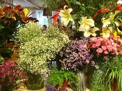 -春暖花开(西溪店)