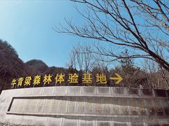 -牛背梁国家森林公园
