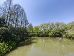 -上海滨江森林公园