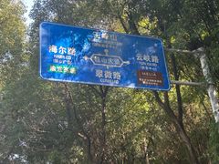 -铁山坪森林公园