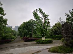 -重庆彩云湖湿地公园