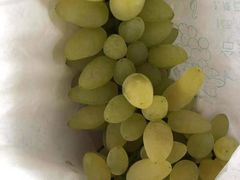 -马陆小张葡萄园农家乐