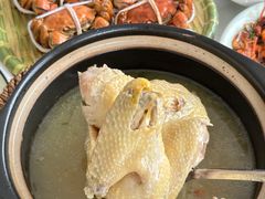 -蟹天蟹地农家菜·阳澄湖大闸蟹(浅水湾店)
