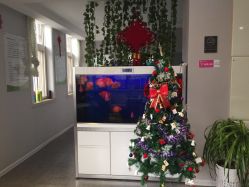 点击看大图 -传世玉颜专业祛痘·问题肌