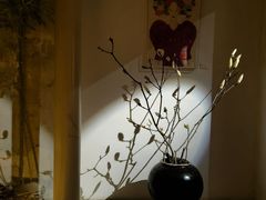 -曲廊院(东四十一条店)