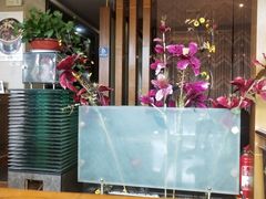大堂-圆缘园时尚西餐厅(新悦国际店)
