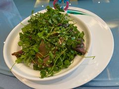 花腱芹菜苗-渔公码头·九龙湾国际饭店