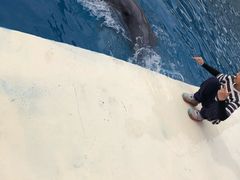 -北戴河圣蓝海洋公园