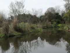 -桤木河湿地公园