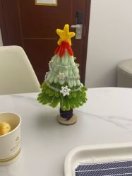 -维倪月子会所(独栋庭院·南海店)