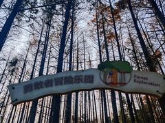 -山王坪喀斯特国家生态公园