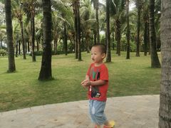 -味餐厅·海鲜·火锅·自助餐