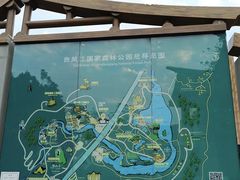 -南宁良凤江国家森林公园