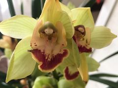 -白玉兰商务酒店(曲阜三孔景区春秋西路店)