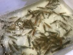 -芭提雅Amporn Seafood自助餐厅