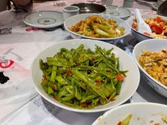 -壹盏灯(惠农店)