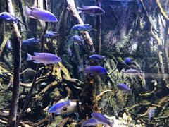 -华夏文旅海洋公园