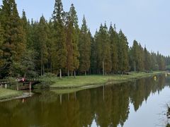 -黄海国家森林公园