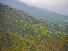 -鹫峰国家森林公园