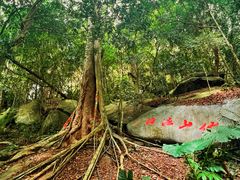 -七仙岭温泉国家森林公园