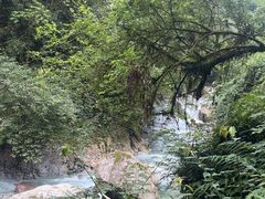 -西岭雪山大飞水景区