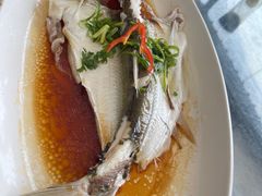 -八仔大富楼·河鲜(西江店)