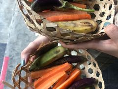 -清迈夜间动物园