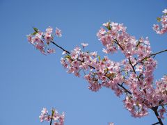 -新江湾城公园