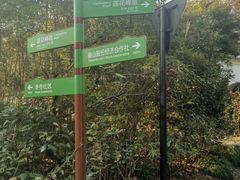 -她说户外烧烤团建(西湖店)