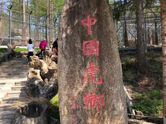 -横道河子东北虎林园