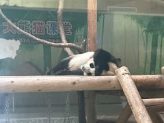 -西安秦岭野生动物园