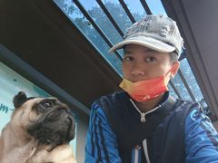 -风云岭森林公园