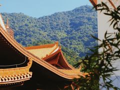 -深圳仙湖植物园