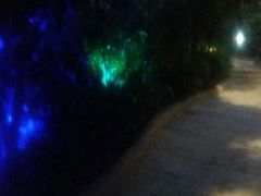 android_upload_pic-龙达温泉生态城