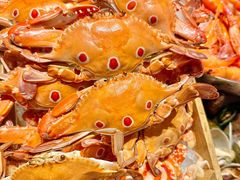 -安蒂娅·海鲜自助餐厅(安蒂娅美兰酒店)