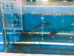 -龙达温泉生态城