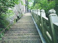 -天目山大树王景区
