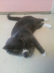 -Pink You美甲美睫纹绣定制中心